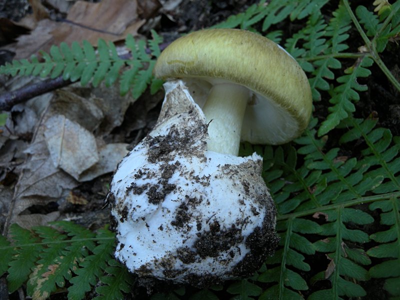 Forse l''ultima bellissima giornata..!!